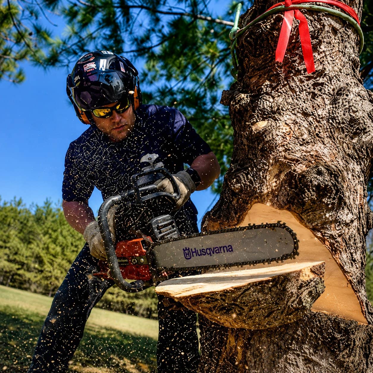 Certified arborist performing professional tree removal near a home in the Chippewa Valley